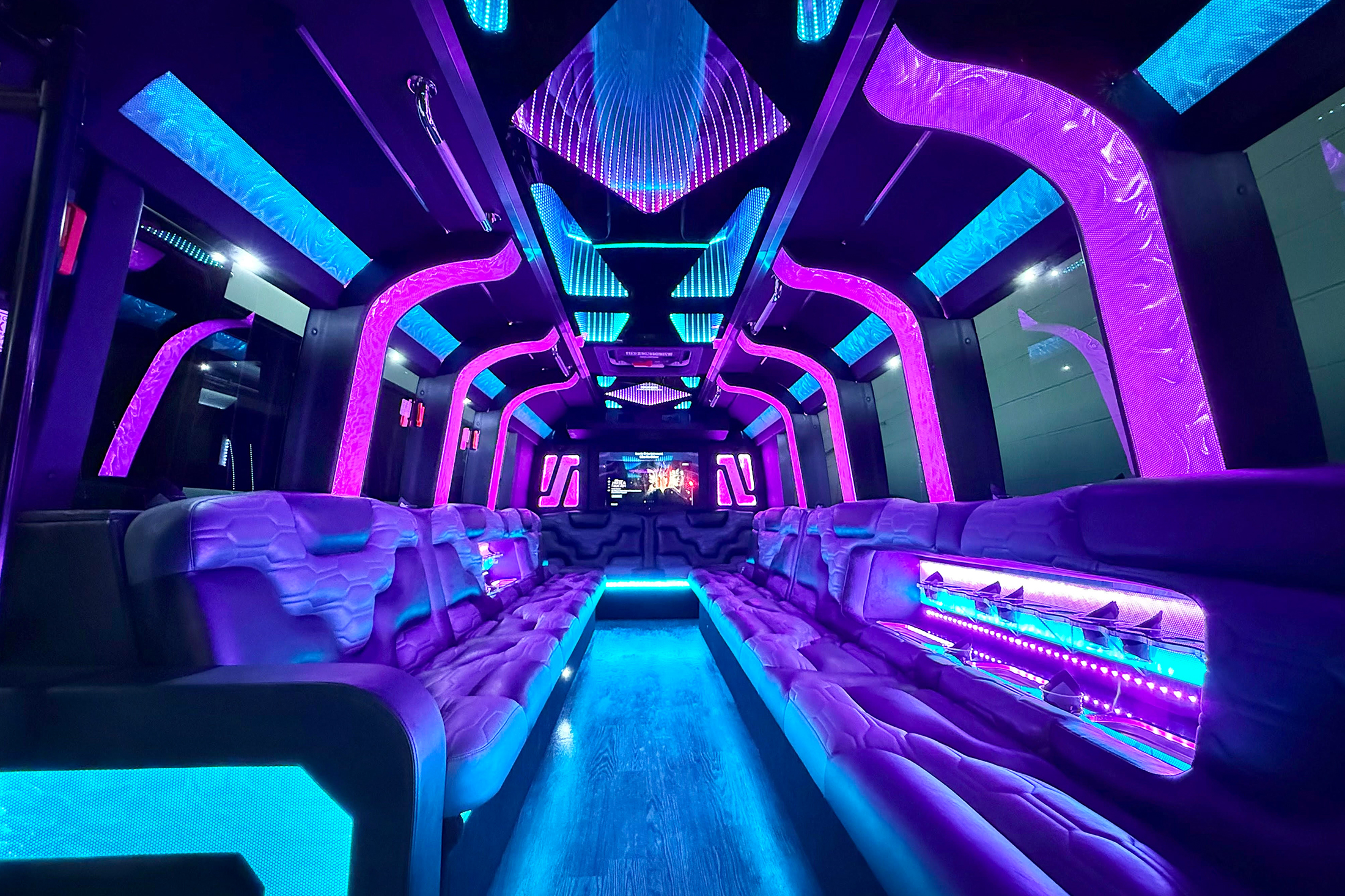 Ann Arbor party bus service